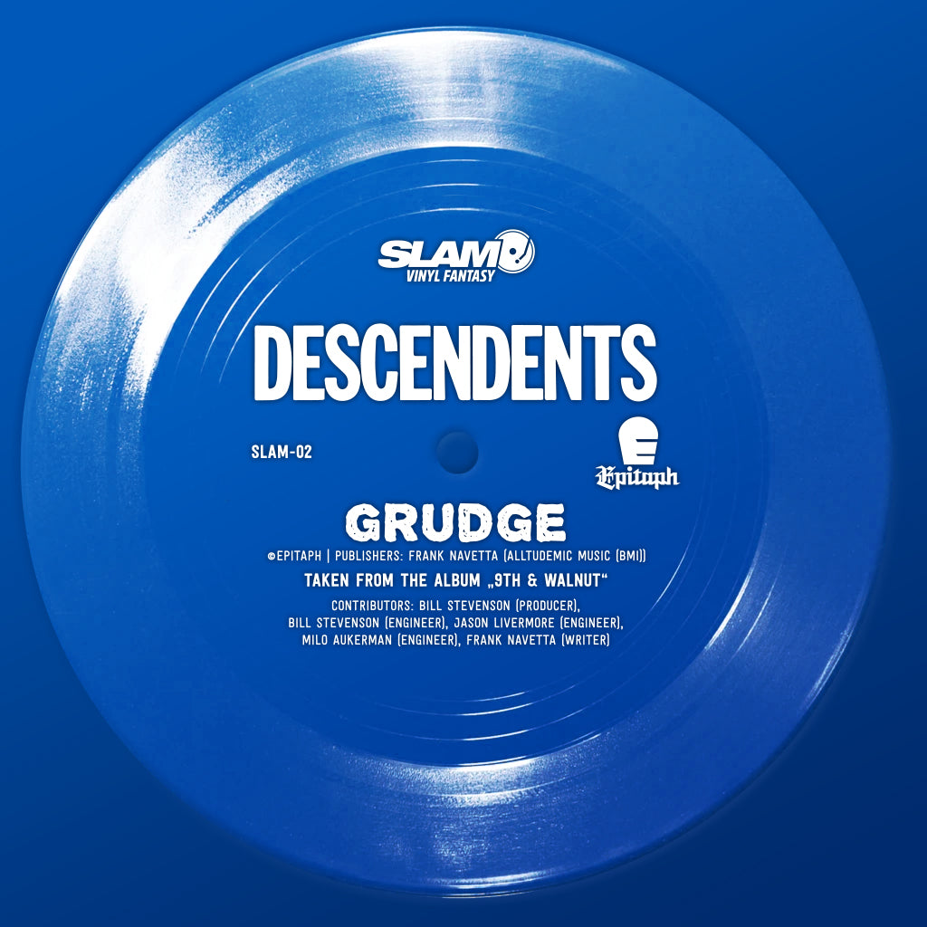 FLEXI Vinyl DESCENDENTS 